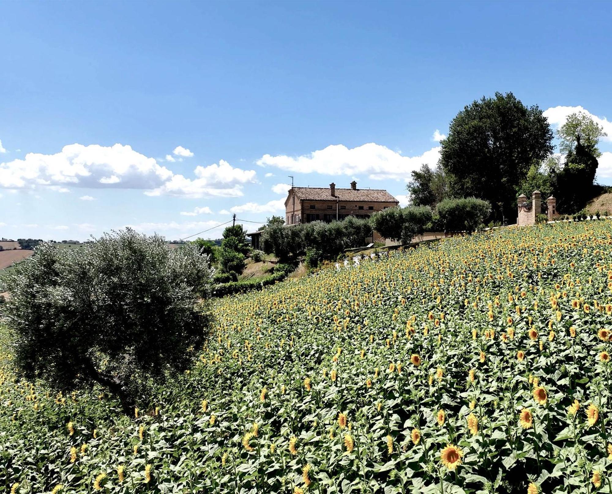 Bed And Breakfast La Vecchia Scuola Montefano Ngoại thất bức ảnh